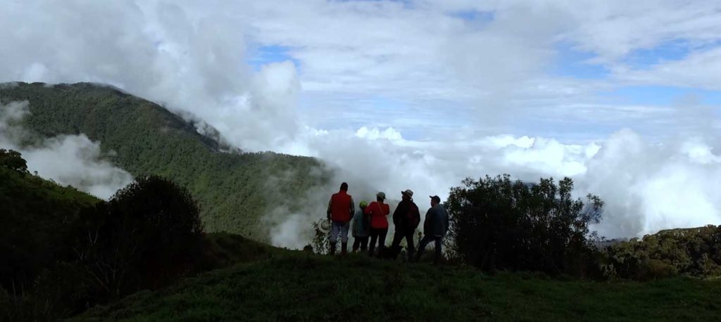 Bajo la Niebla